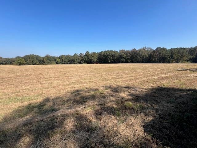 0 Union Grove Road Opp, AL 36467 - Photo 8 of 11 Gallery Image 8