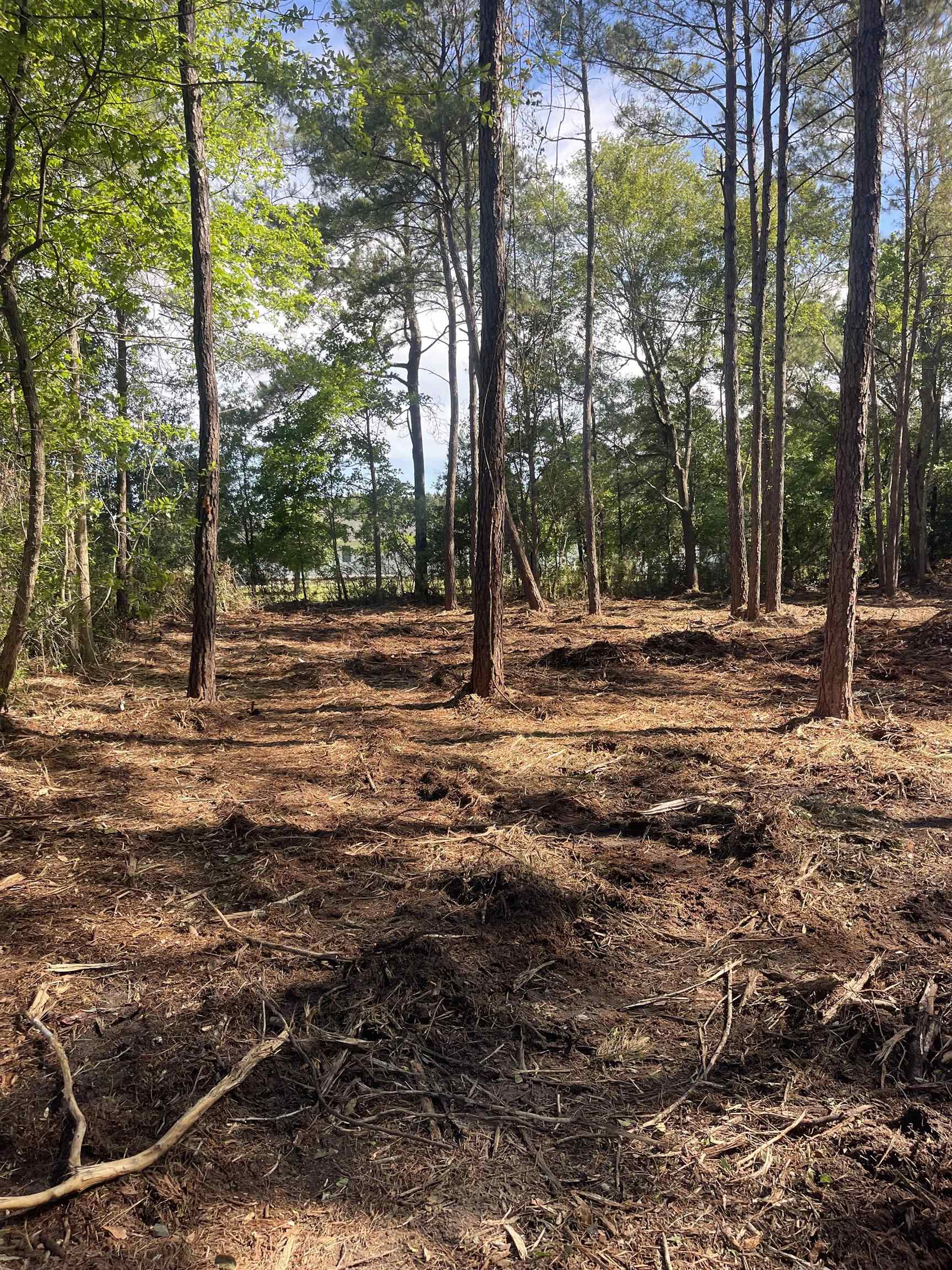 Tbd Tbd Mount Loris, SC 29569 - Photo 17 of 26
