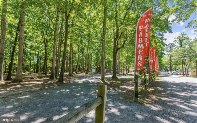 a view of a tennis court