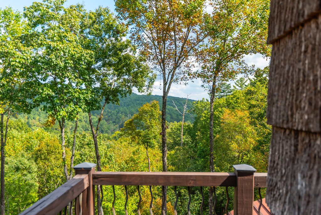 616 Chief Whitetails Road Ellijay, GA 30540 - Photo 69 of 93 Gallery Image 69