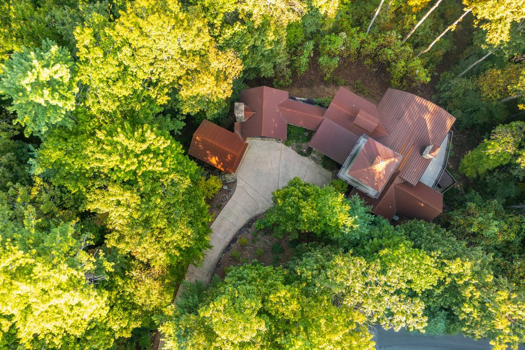 616 Chief Whitetails Road Ellijay, GA 30540 - Photo 8 of 93 Gallery Image 8