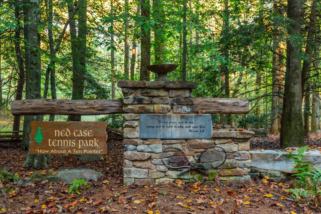 616 Chief Whitetails Road Ellijay, GA 30540 - Photo 84 of 93 Gallery Image 84