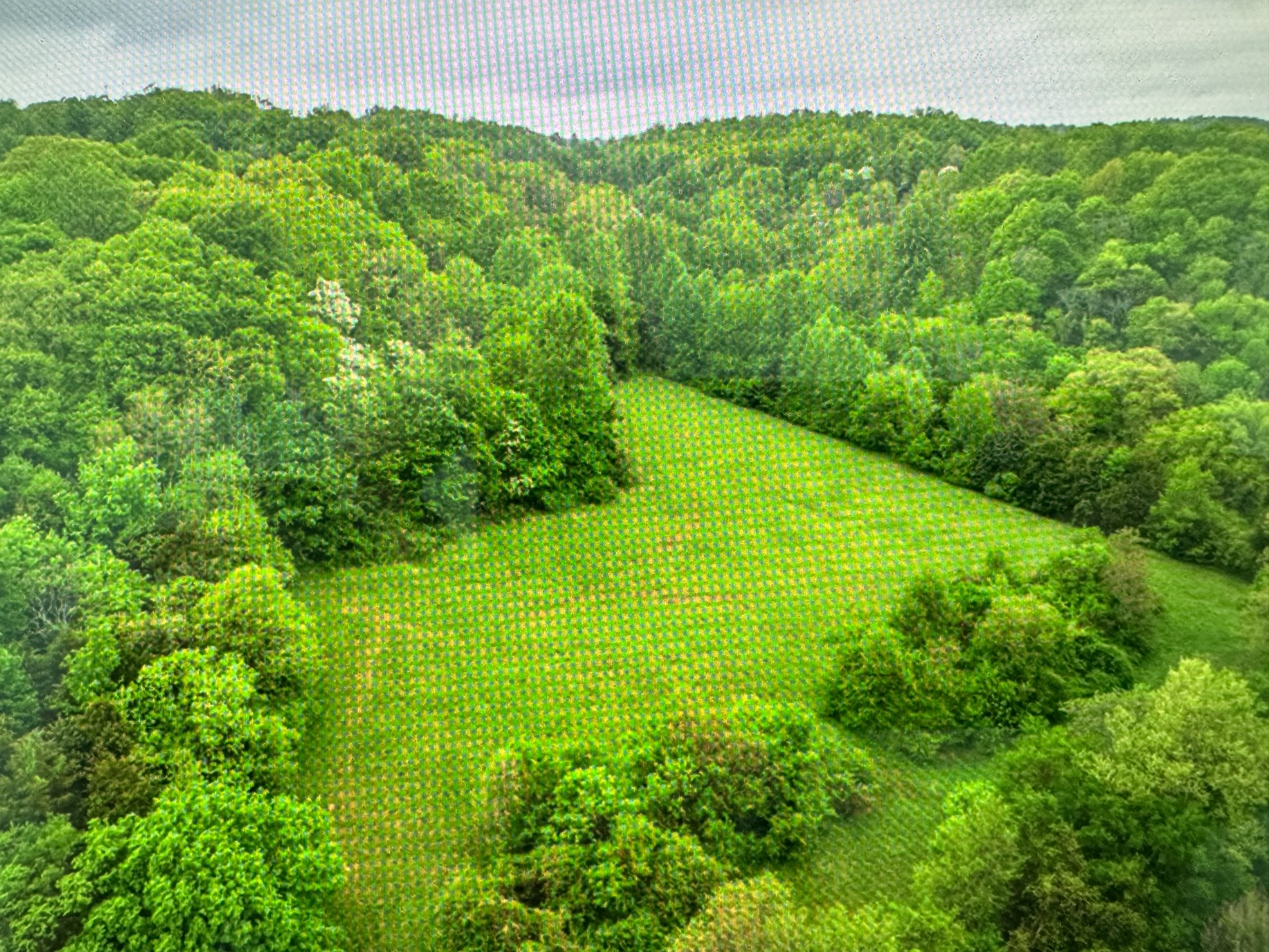 0 Collier Road Cornersville, TN 37047 - Photo 1 of 1 Gallery Image 1