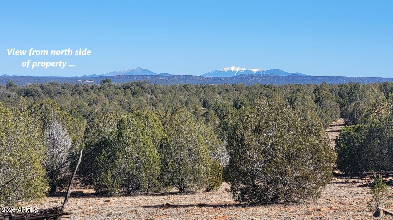 8905bcd3-333b-4e7a-921a-fb2c1c759822