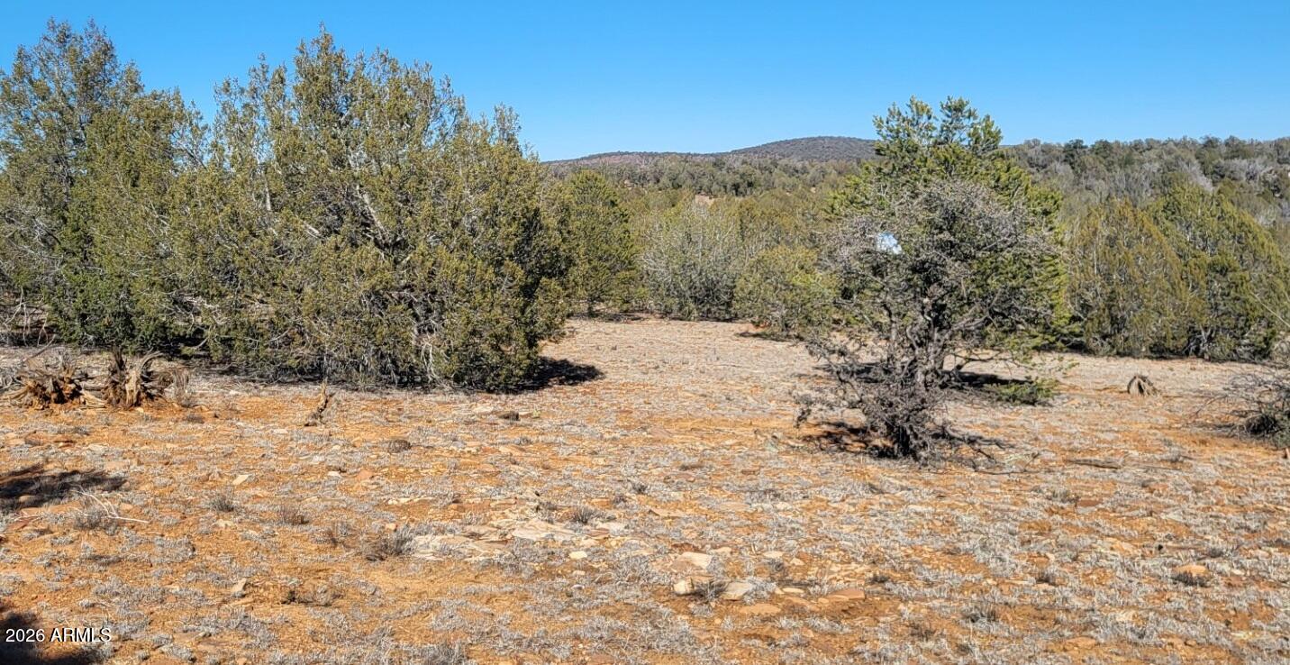 861-e2 861-e2 Cable Road, Unit 861 Williams, AZ 86046 - Photo 11 of 11 3e62426d-459f-41c4-a025-f89b75365010