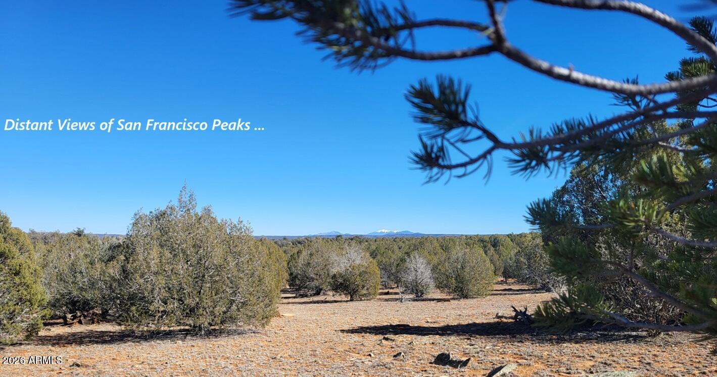 861-e2 861-e2 Cable Road, Unit 861 Williams, AZ 86046 - Photo 2 of 11 03aaa216-312f-4e72-8767-a86a1e7aeed6