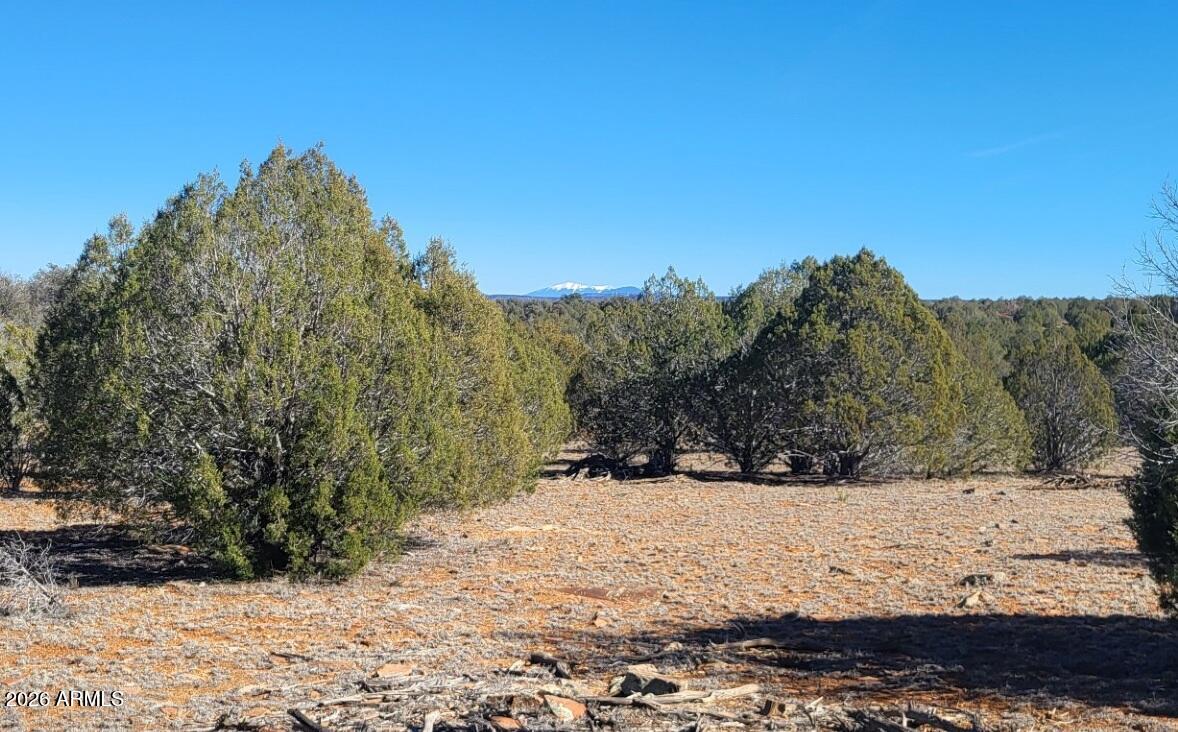 861-e2 861-e2 Cable Road, Unit 861 Williams, AZ 86046 - Photo 3 of 11 30fd730a-9222-4124-8fa0-3abf4b95cce4