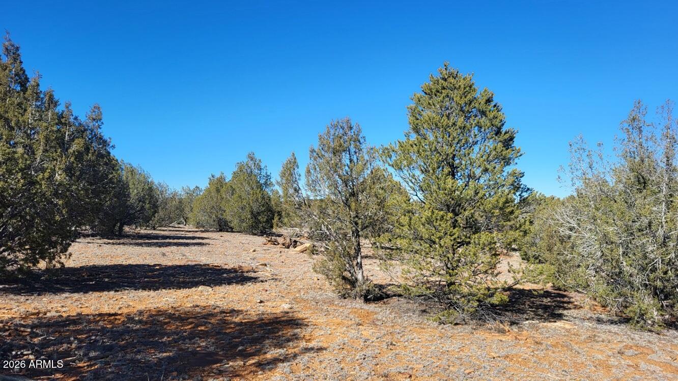 861-e2 861-e2 Cable Road, Unit 861 Williams, AZ 86046 - Photo 4 of 11 00eed6a3-c8e0-4def-b5ee-6d8d7e2db01c