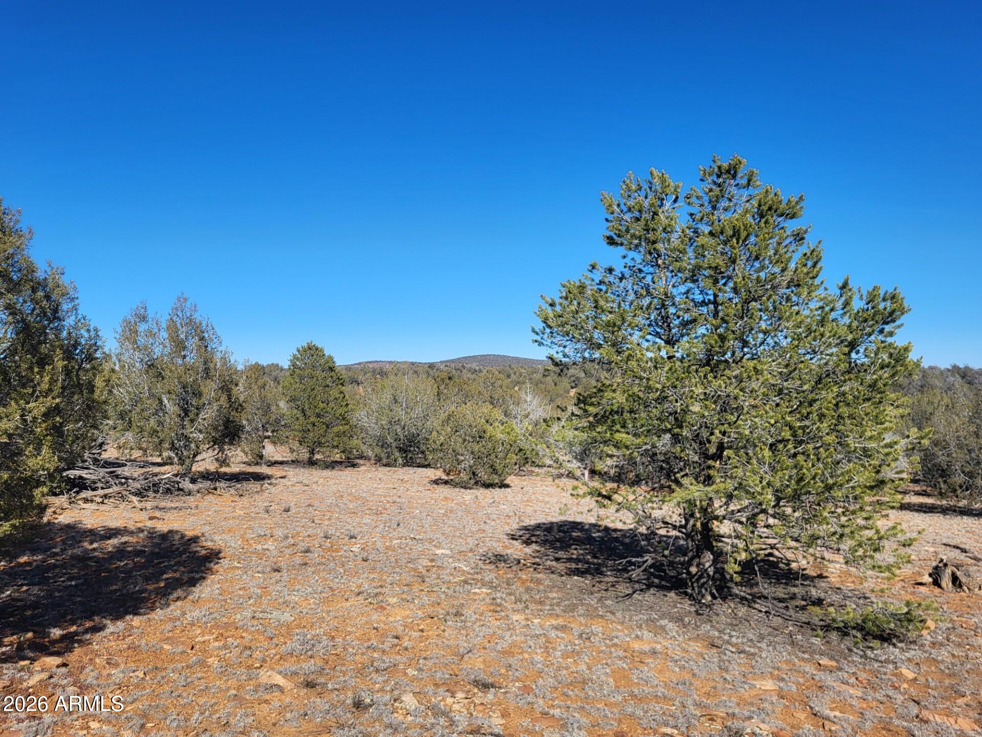 861-e2 861-e2 Cable Road, Unit 861 Williams, AZ 86046 - Photo 6 of 11 0696d7f2-5d99-4ae0-84eb-8e75cac22975