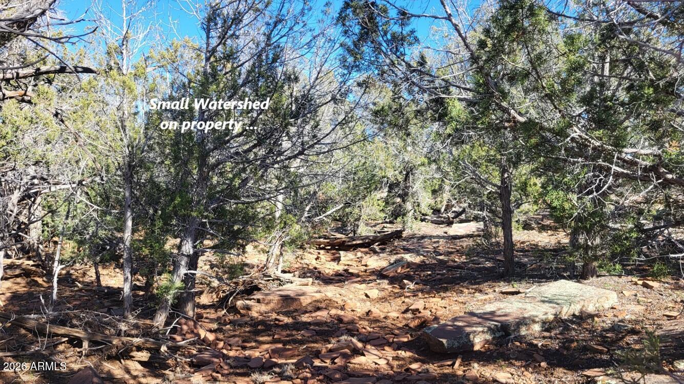 861-e2 861-e2 Cable Road, Unit 861 Williams, AZ 86046 - Photo 7 of 11 6233d4b5-50d6-4694-96c1-d99e2538d094