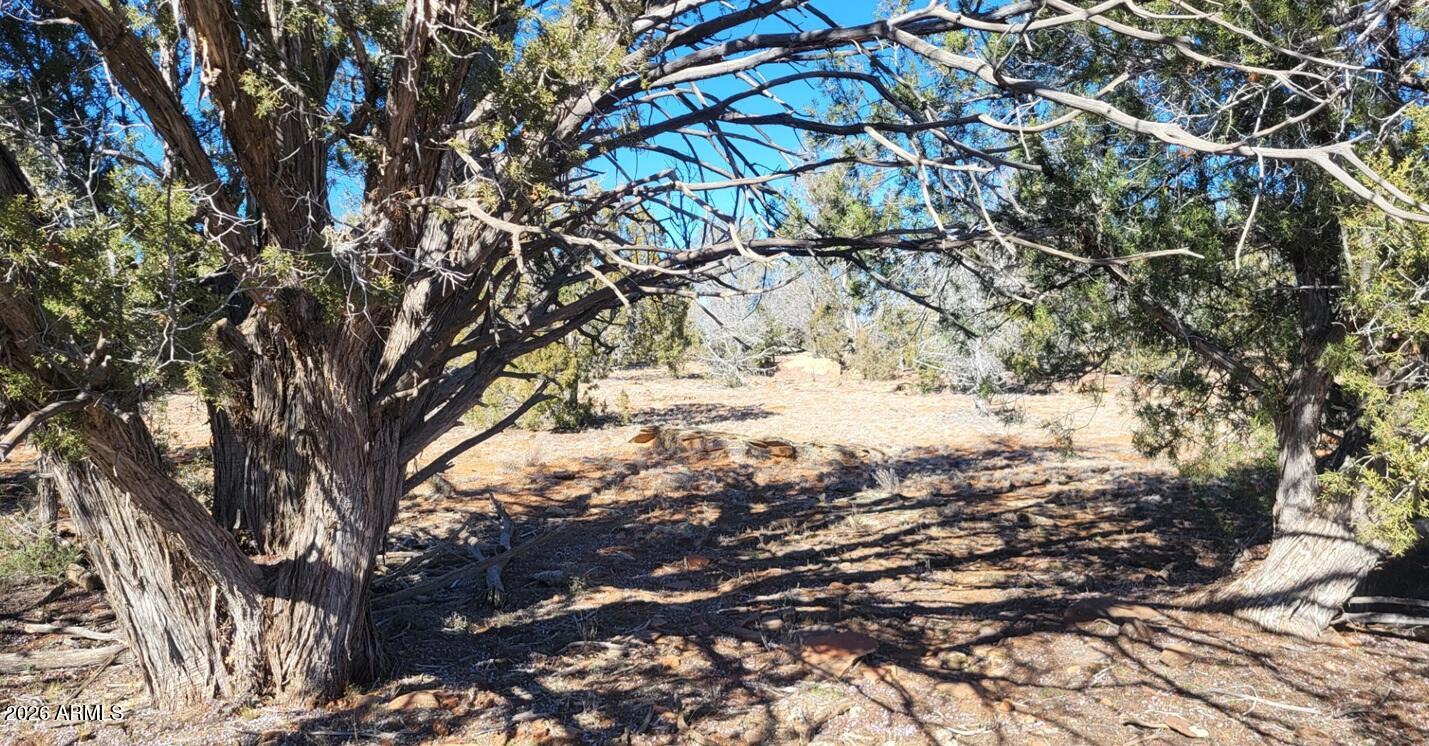 861-e2 861-e2 Cable Road, Unit 861 Williams, AZ 86046 - Photo 9 of 11 96ff0513-8cb8-4a82-8527-c2e377f25043