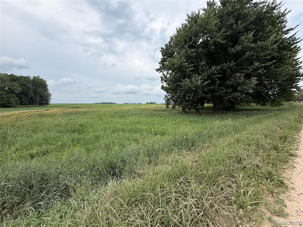 4126 Montgomery Road Marlette, MI 48453 - Photo 3 of 13 Gallery Image 3