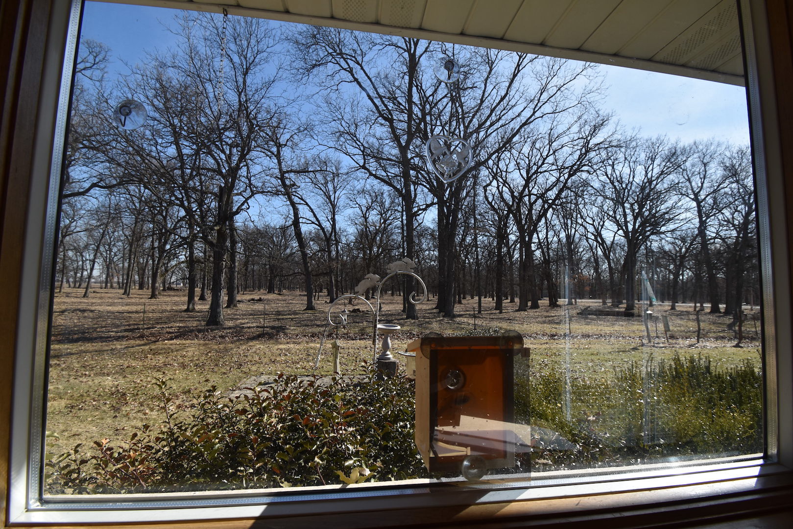 4496 West Sandwich Road Sandwich, IL 60548 - Photo 15 of 37 a view of backyard with wooden fence and large trees
