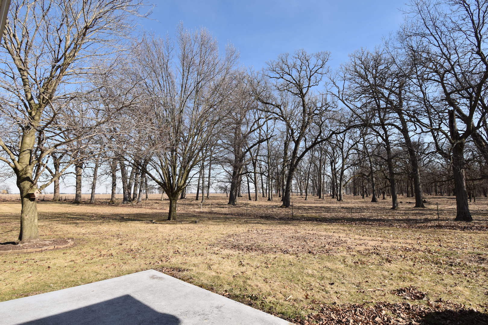 4496 West Sandwich Road Sandwich, IL 60548 - Photo 29 of 37 a view of outdoor space with yard