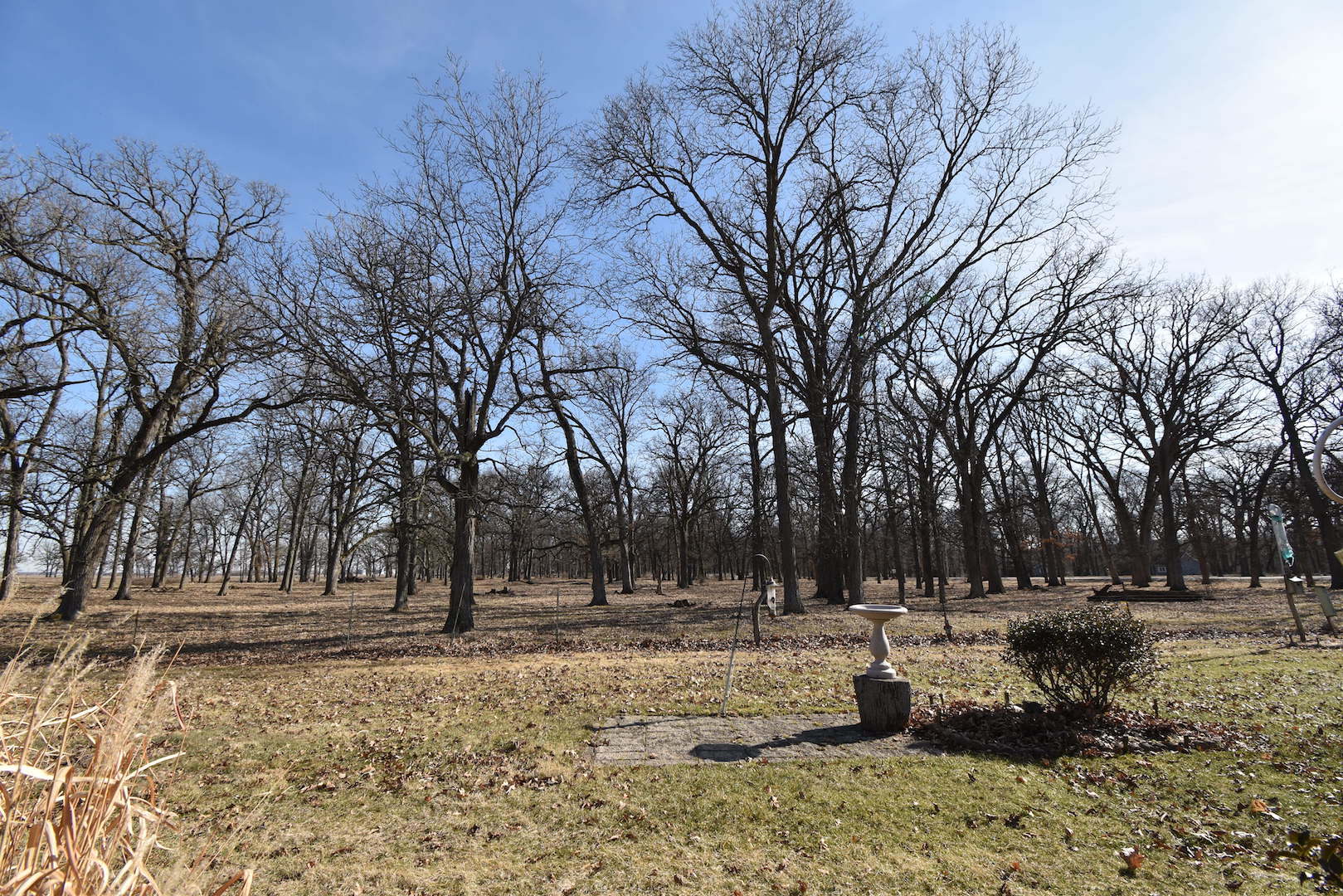 4496 West Sandwich Road Sandwich, IL 60548 - Photo 36 of 37 a view of outdoor space with lots of trees