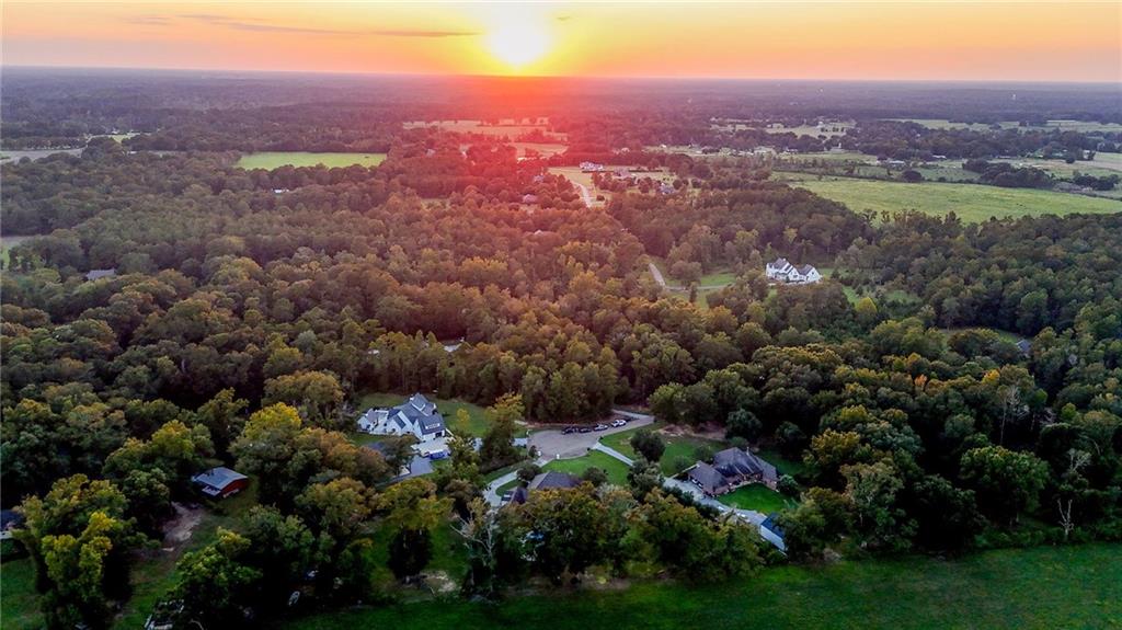 52254 Puls Court Independence, LA 70443 - Photo 42 of 44