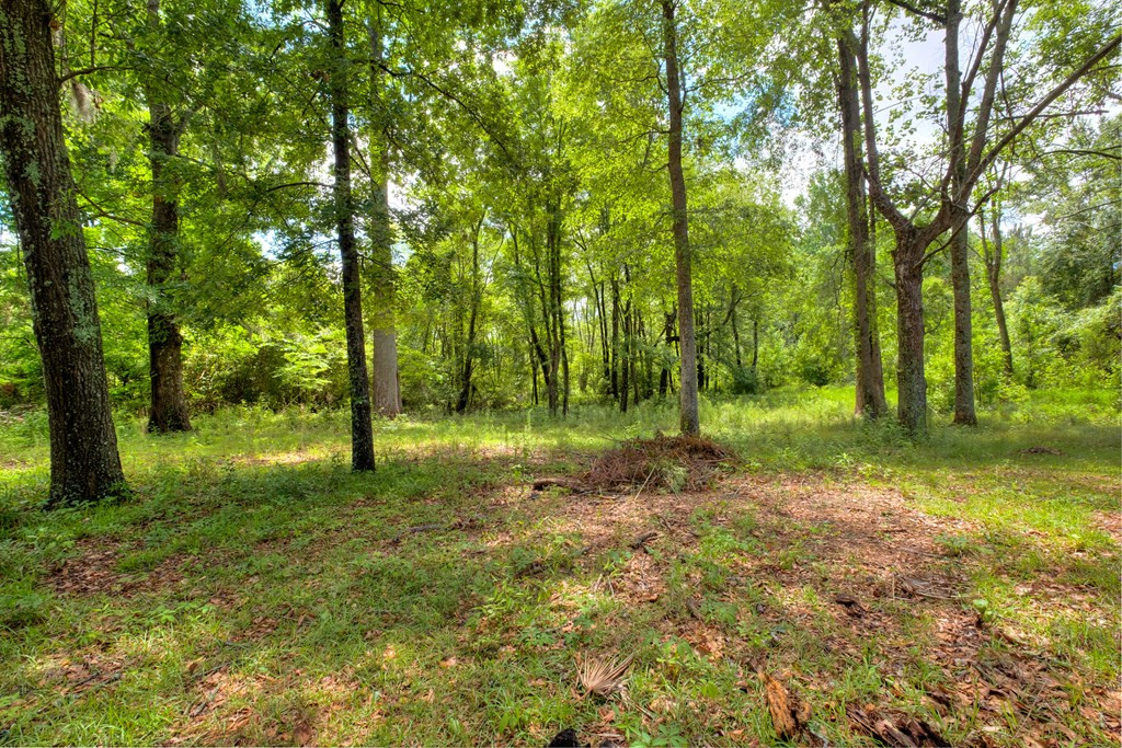 3815 Britton Road Sumter, SC 29153 - Photo 34 of 69