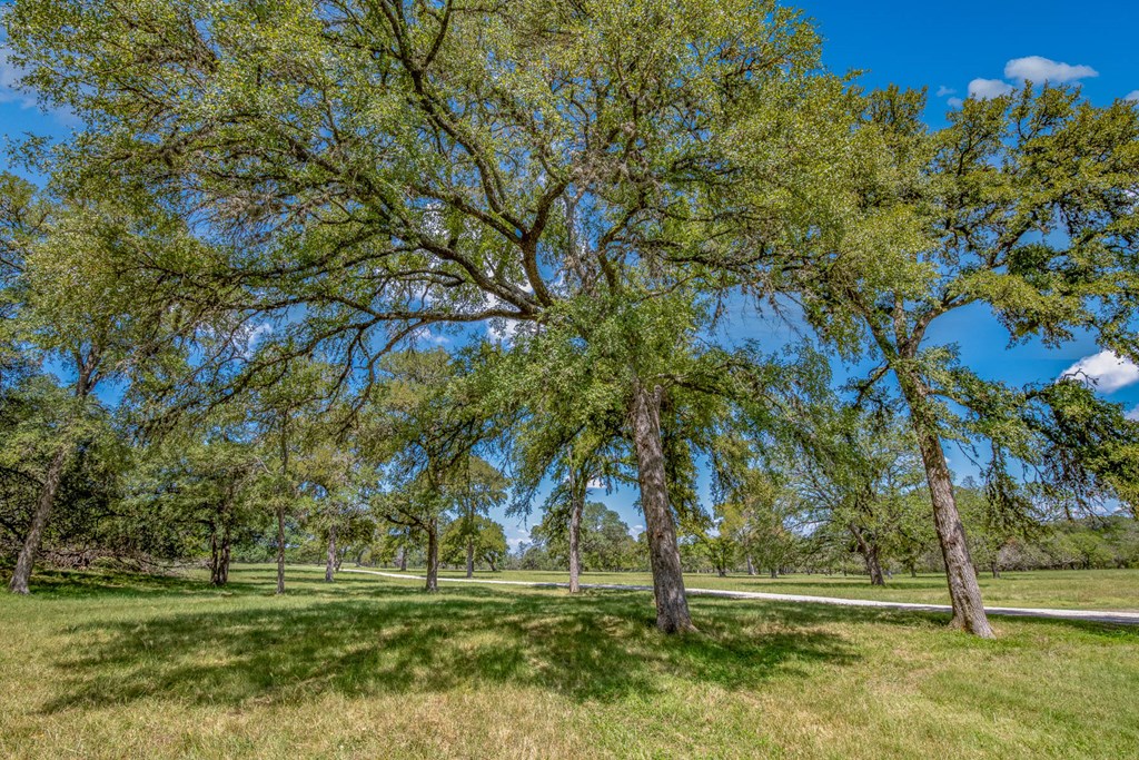 668 Elm Pass Road Center Point, TX 78010 - Photo 32 of 38 Gallery Image 32