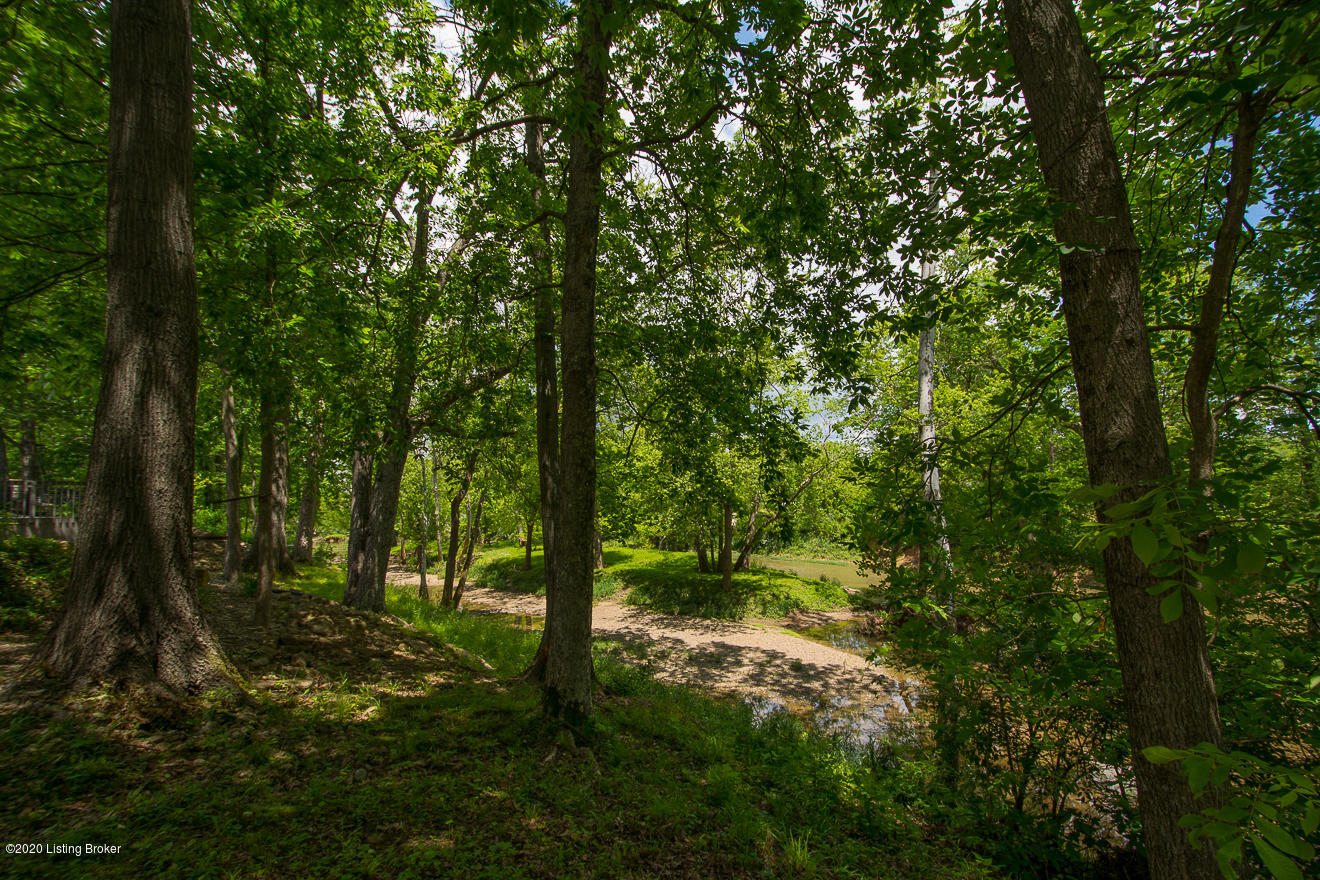 15011 Bircham Road Louisville, KY 40245 - Photo 67 of 79 Property line extends to island. Backs up to Floyd's Fork where you will see great nature life and kayakers!