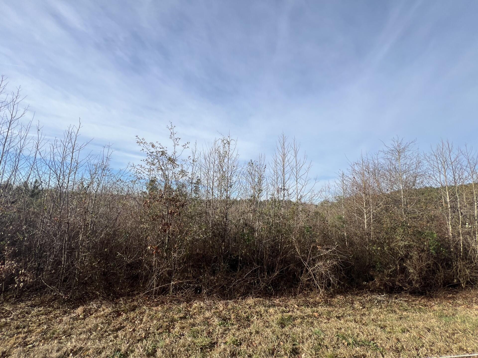 Lot2 Hephzibah Church Road Lincolnton, GA 30817 - Photo 1 of 1 Main Photo