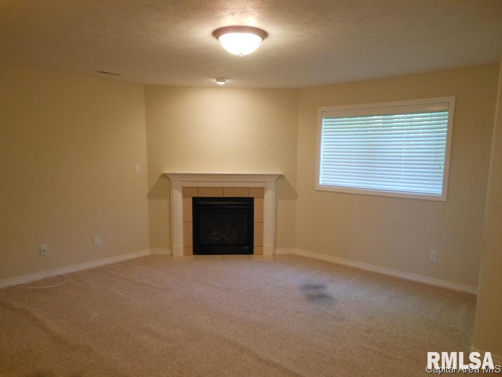 1024 Ravina Drive Chatham, IL 62629 - Photo 21 of 32 Gallery Image 21