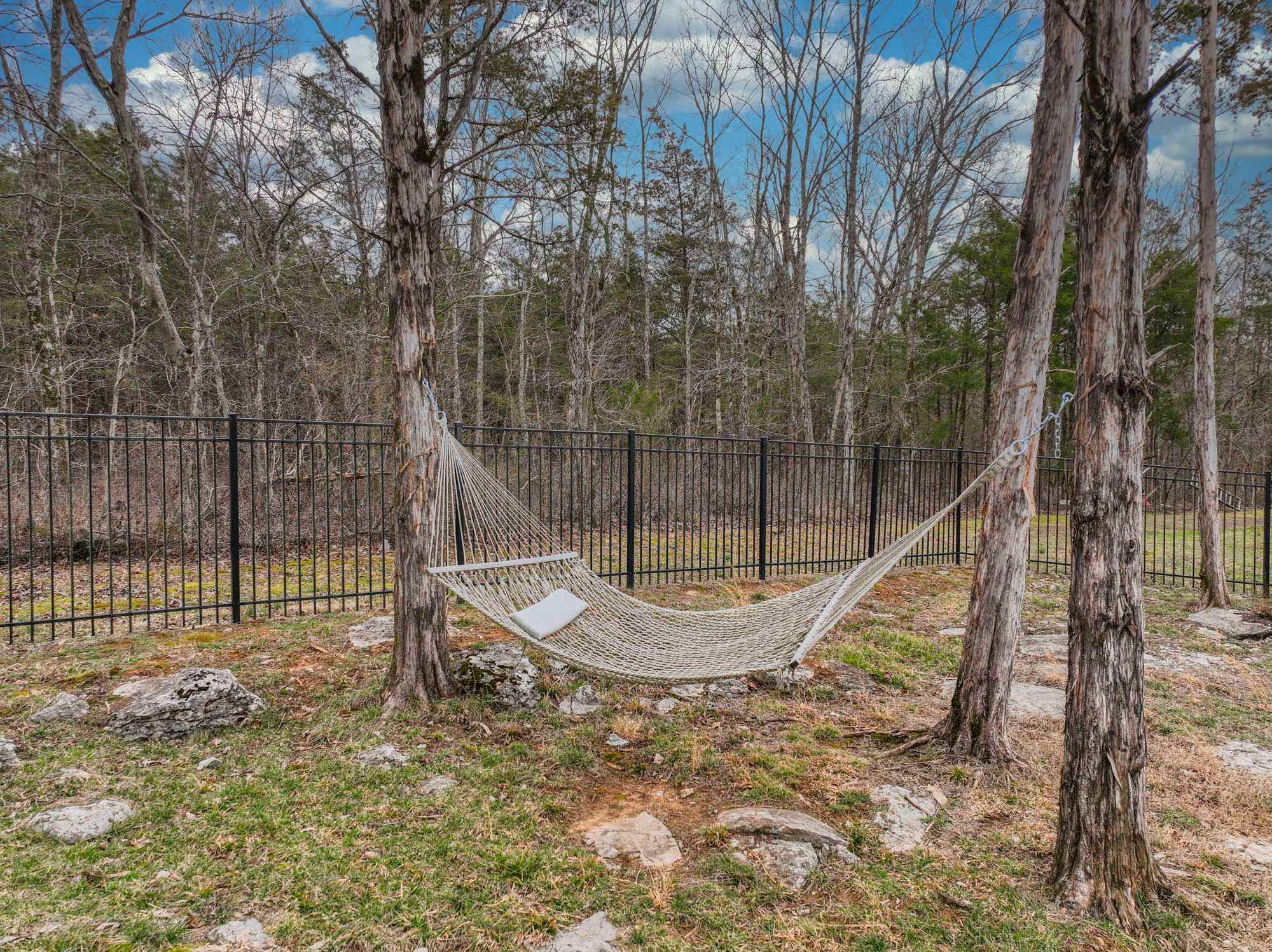 233 Amazonway Ridge Lascassas, TN 37085 - Photo 55 of 60 Gallery Image 55