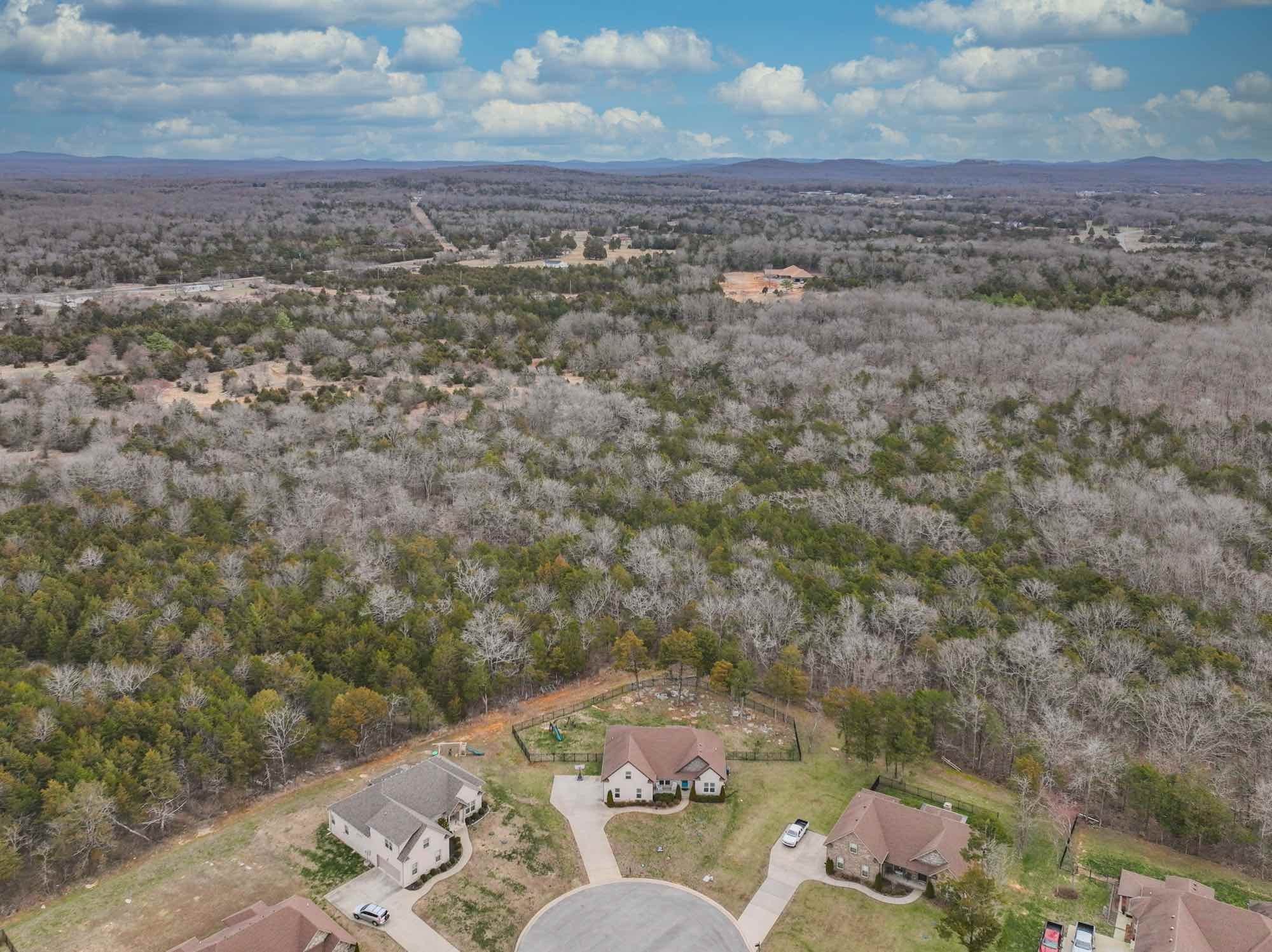233 Amazonway Ridge Lascassas, TN 37085 - Photo 7 of 60 Gallery Image 7
