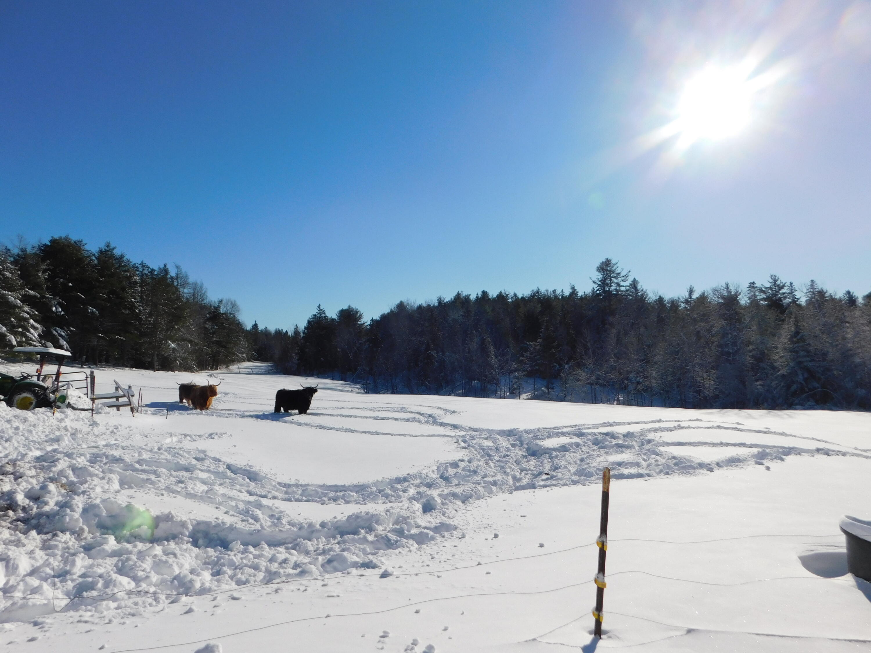 74 Harrison Road Dennysville, ME 04628 - Photo 22 of 35 DSCN0433