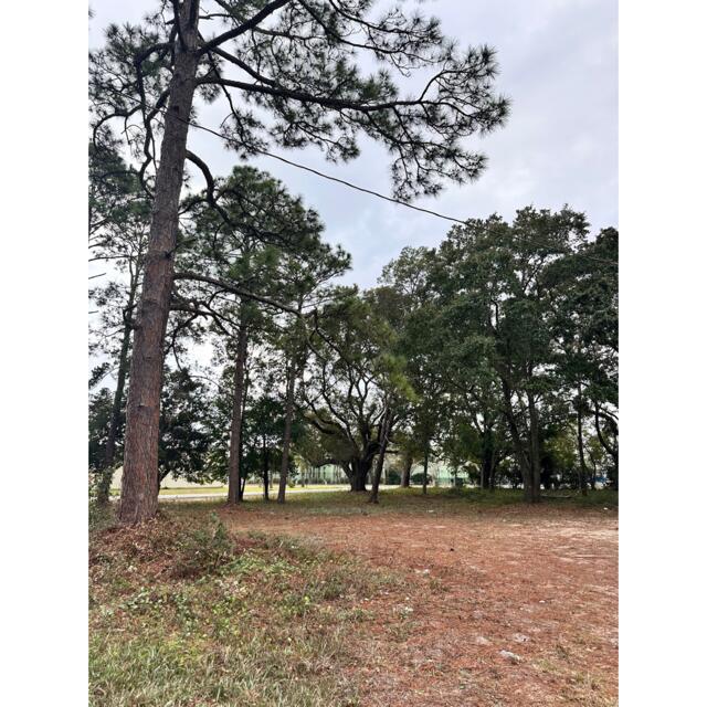 713 Northwest Lovejoy Road Fort Walton Beach, FL 32548 - Photo 2 of 2 Lot view
