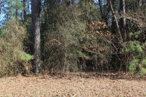 $35,900 | Lot 20 Sandpiper Lane, Unit 20, Atlantic, VA 23303