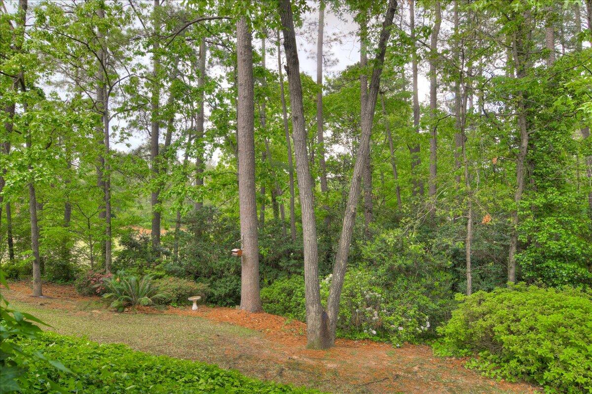 883 Trail Ridge Road Aiken, SC 29803 - Photo 46 of 52 52-052