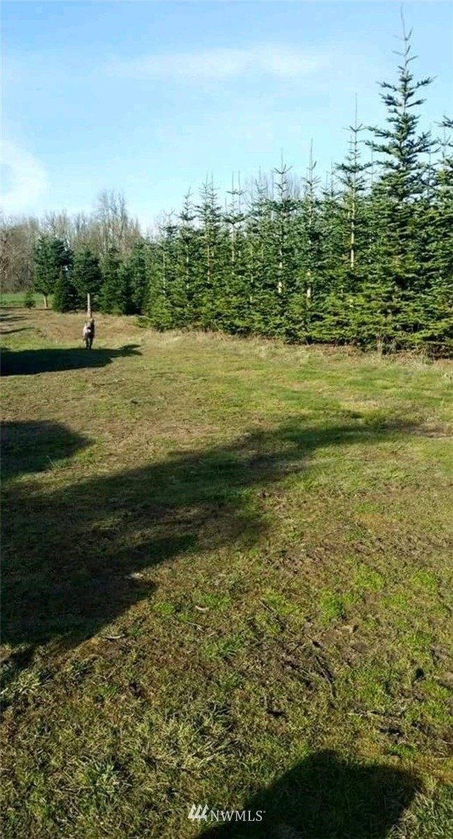 Lot#3 Independence Road Rochester, WA 98579 - Photo 4 of 4