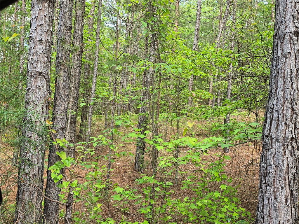 120 P-14-64 Anderson, SC 29621 - Photo 1 of 3
