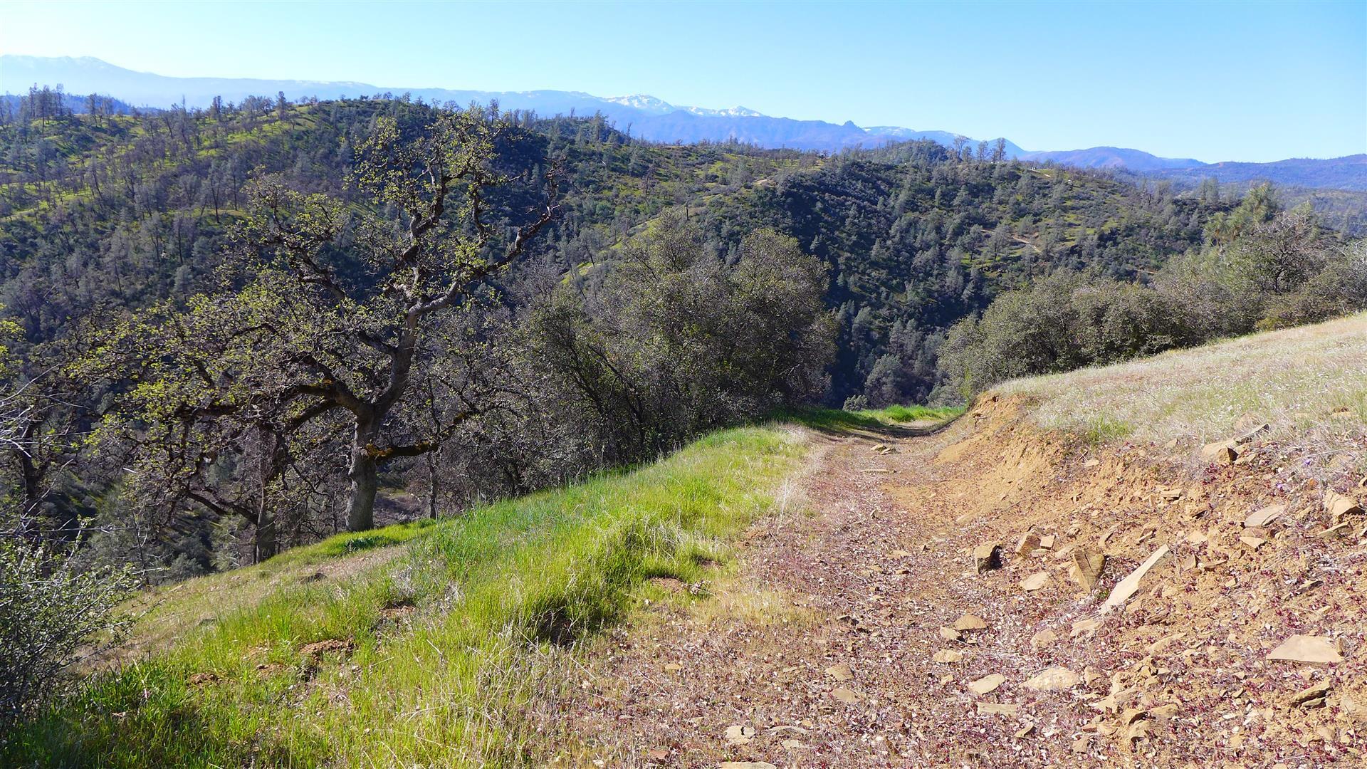 Lot 229 Yolla Bolly Road Igo, CA 96047 - Photo 61 of 66 P1070281