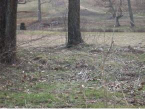 2935 Old Stagecoach Road Jonesborough, TN 37659 - Photo 2 of 4 Photo 2