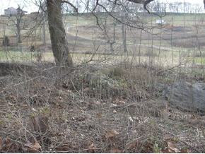 2935 Old Stagecoach Road Jonesborough, TN 37659 - Photo 4 of 4 Photo 4