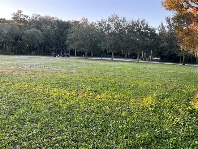 a view of a trees in a yard