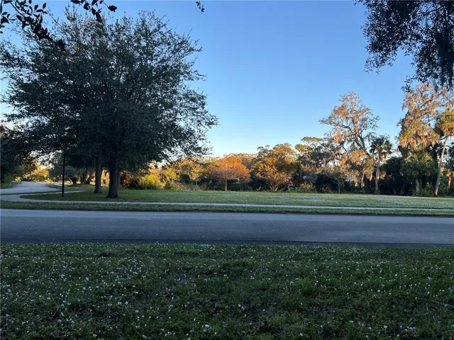 a view of a garden with a tree