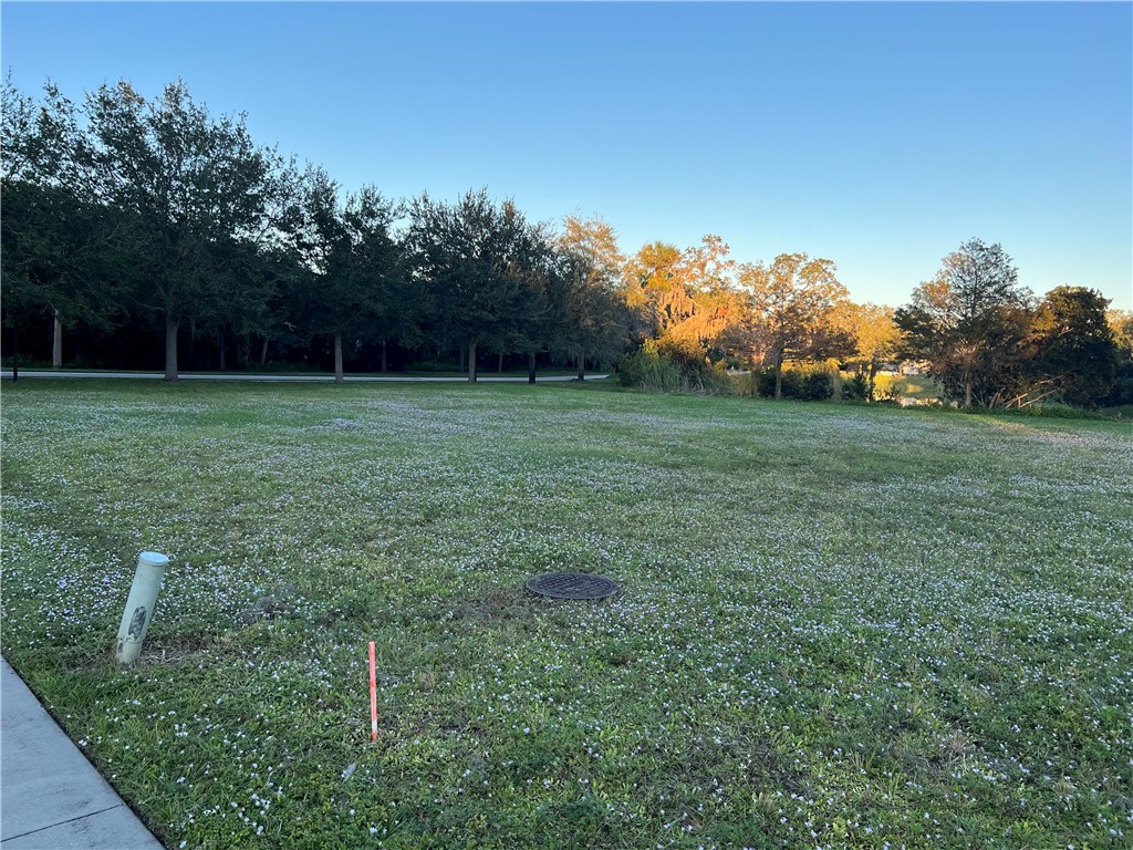 11324 Ganesh Way Sebastian, FL 32958 - Photo 10 of 15 a view of a garden with a tree