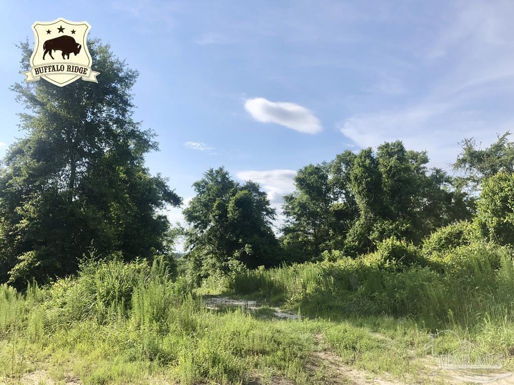 Lot 5-bs Buffalo Ridge Road Milton, FL 32571 - Photo 1 of 21