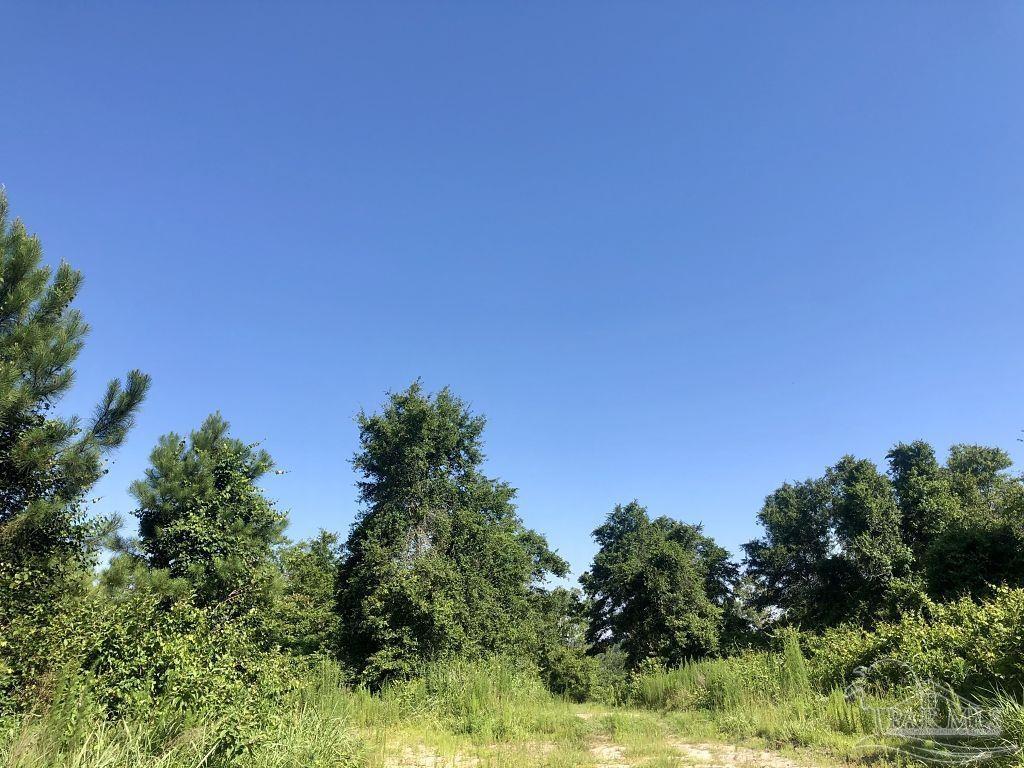 Lot 5-bs Buffalo Ridge Road Milton, FL 32571 - Photo 12 of 21