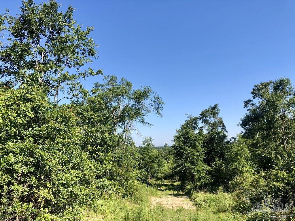 Lot 5-bs Buffalo Ridge Road Milton, FL 32571 - Photo 13 of 21