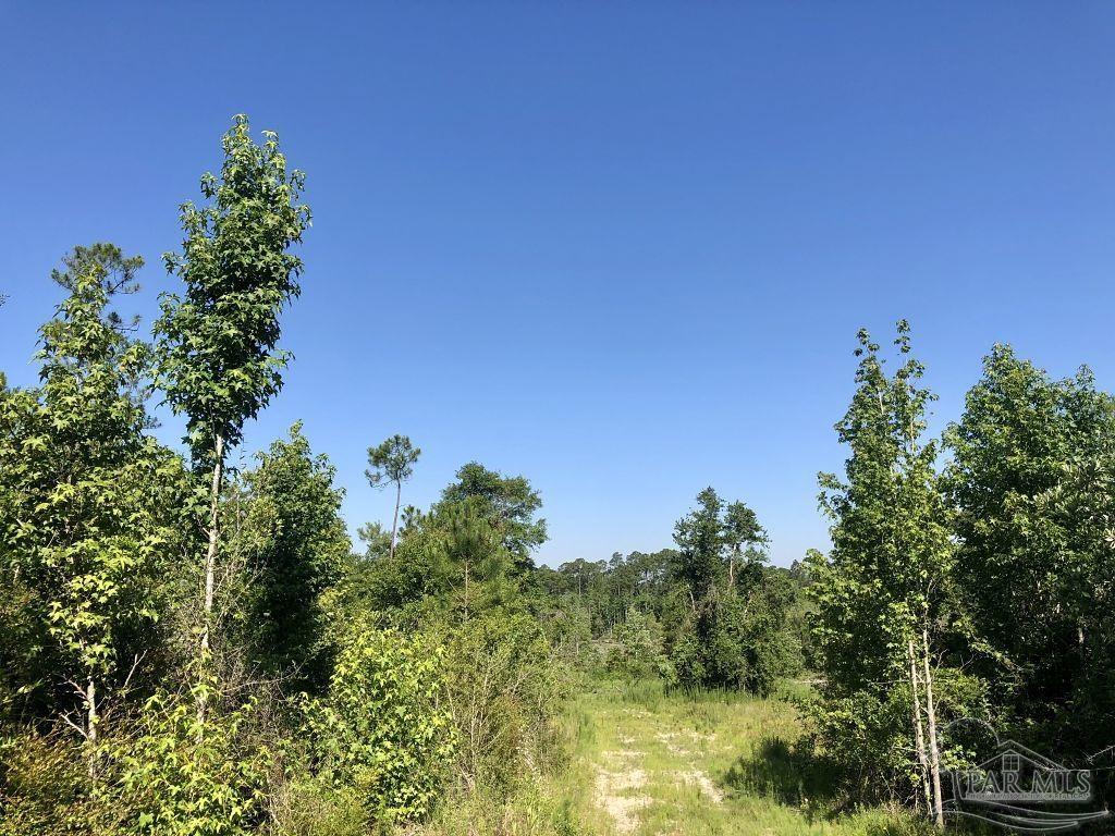 Lot 5-bs Buffalo Ridge Road Milton, FL 32571 - Photo 15 of 21