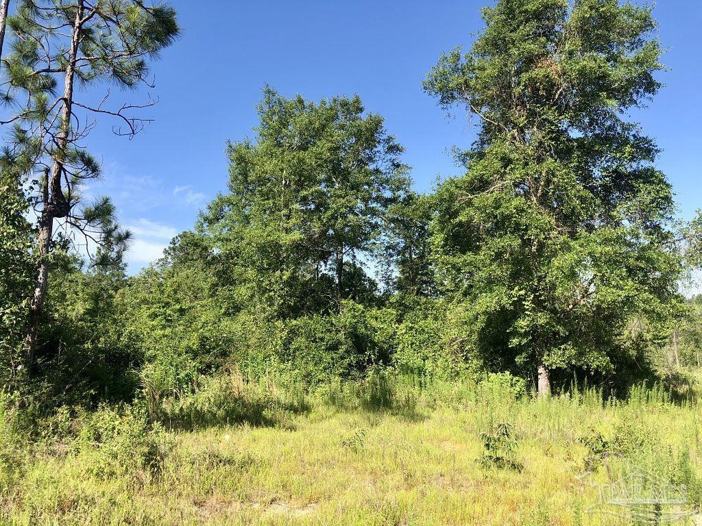 Lot 5-bs Buffalo Ridge Road Milton, FL 32571 - Photo 16 of 21
