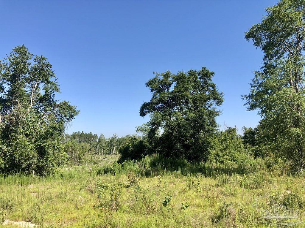 Lot 5-bs Buffalo Ridge Road Milton, FL 32571 - Photo 17 of 21