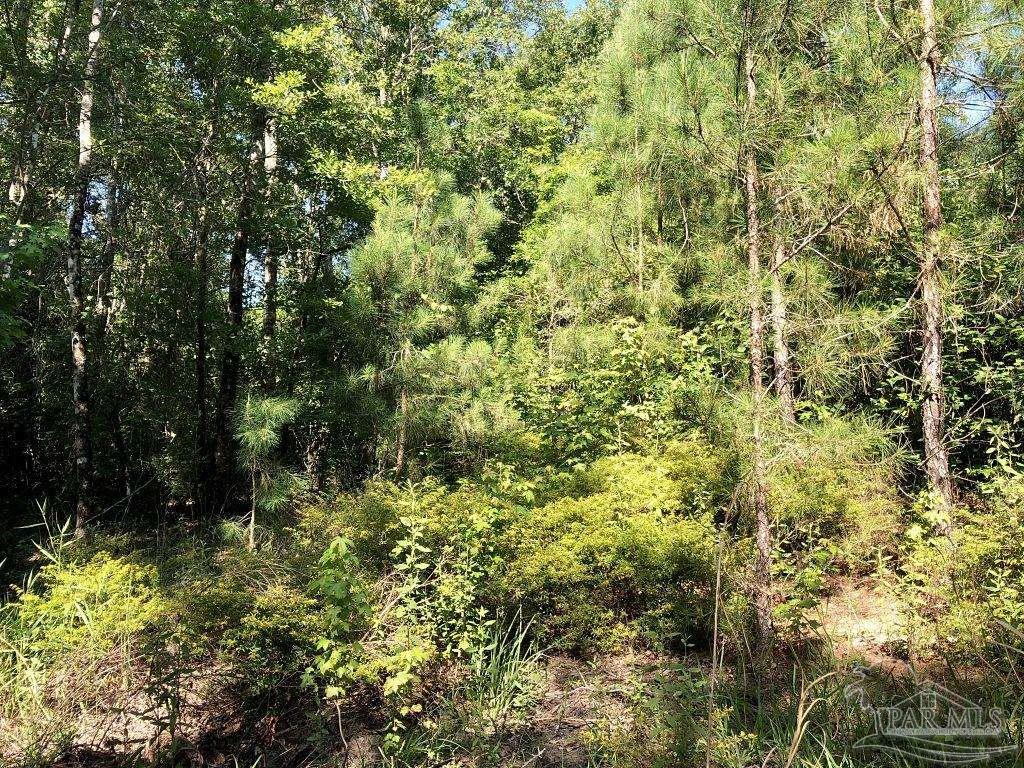Lot 5-bs Buffalo Ridge Road Milton, FL 32571 - Photo 18 of 21