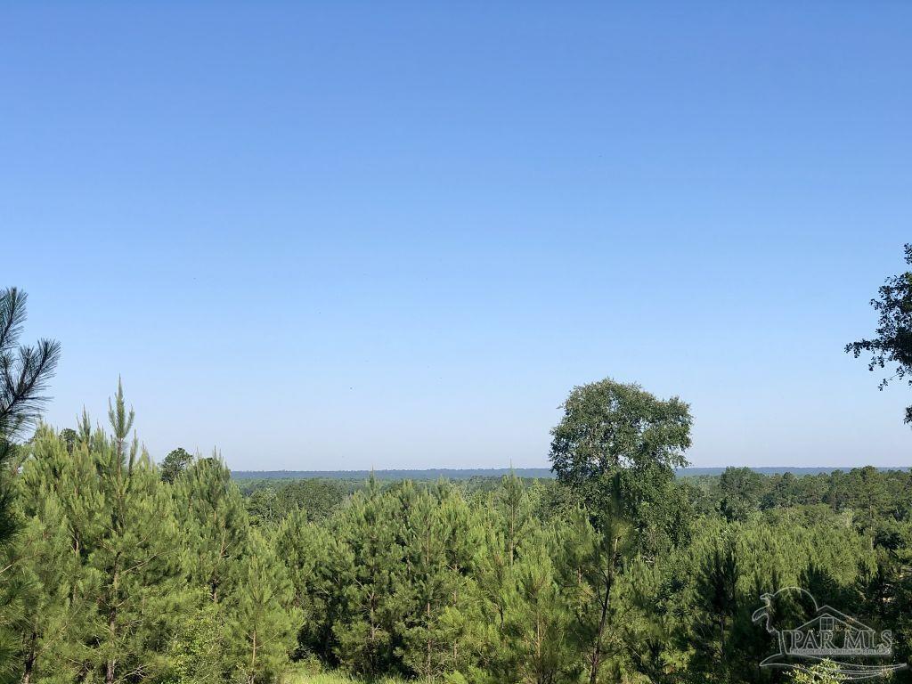 Lot 5-bs Buffalo Ridge Road Milton, FL 32571 - Photo 4 of 21