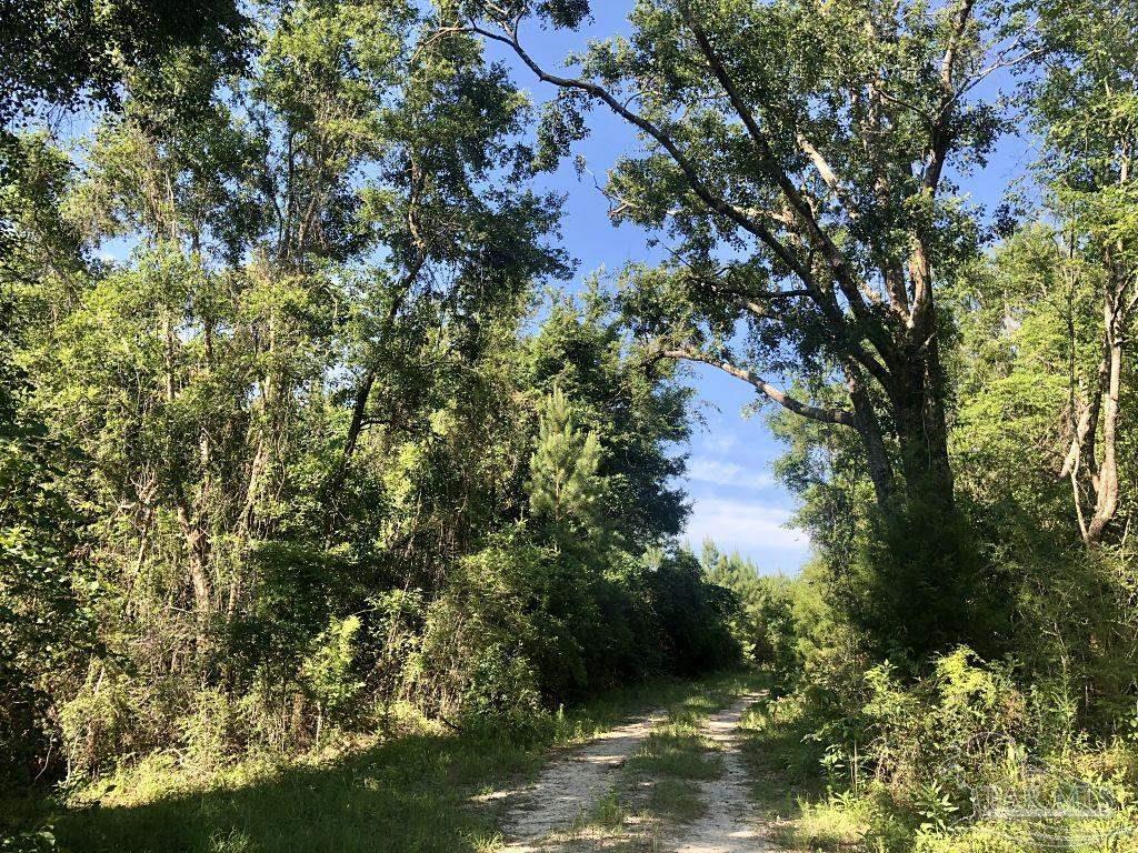 Lot 5-bs Buffalo Ridge Road Milton, FL 32571 - Photo 7 of 21