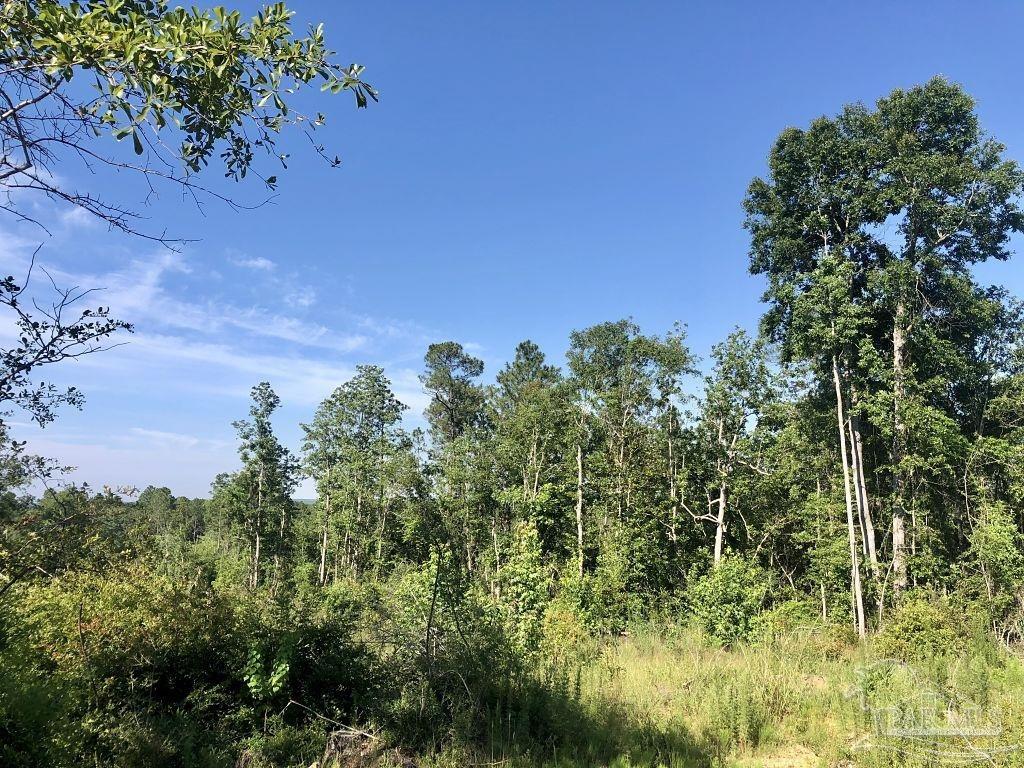 Lot 5-bs Buffalo Ridge Road Milton, FL 32571 - Photo 9 of 21