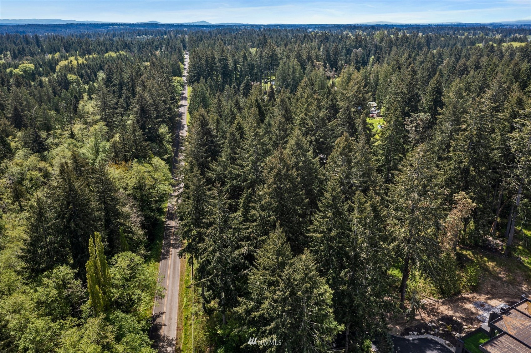 7715 Marvin Road Northeast Olympia, WA 98516 - Photo 8 of 8 a view of a forest with a street